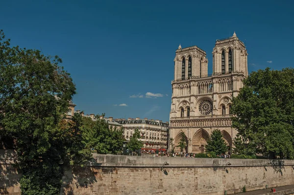 Szajna és a Notre-Dame katedrális Párizsban — Stock Fotó