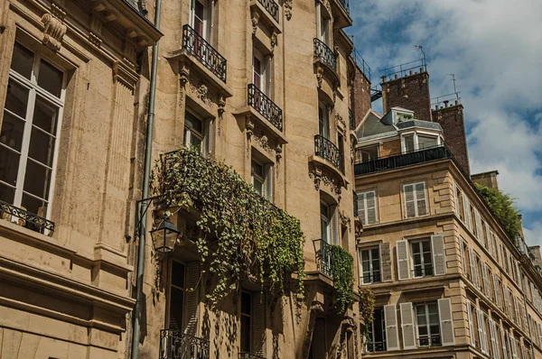 Stará budova s balkony a plevelem v Paříži — Stock fotografie