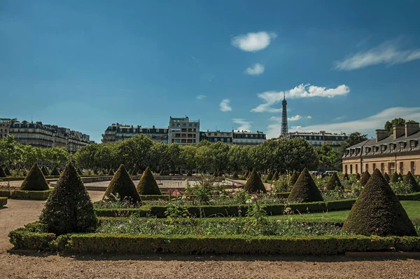 Paris'teki Les Invalides bahçelerinden çiçek ve çalılar — Stok fotoğraf