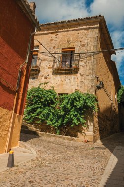 Caceres sokak köşesinde yeşil creeper ile eski bina cephe