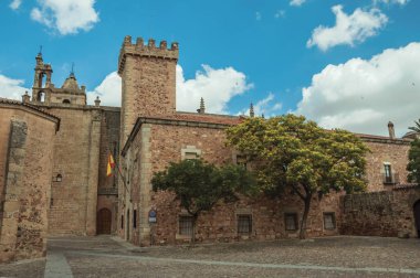 Caceres parke taşı meydanıönünde eski bina ve çiçekli ağaç