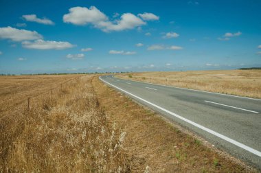 Monfrague Milli Parkı yakınındaki kırsal arazide yol
