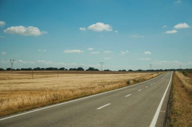 Monfrague Milli Parkı yakınındaki kırsal arazide düz yol