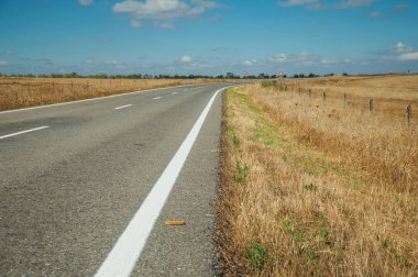 Monfrague Milli Parkı yakınındaki kırsal arazide yol