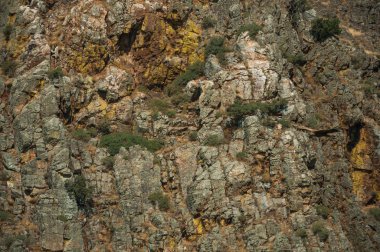 Monfrague Milli Parkı'ndaki kayalıkların yakın çekim