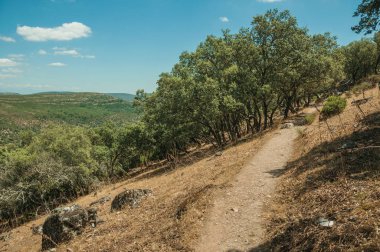 Tagus Nehri vadisi yakınlarındaki orman glade ile Kir yolu