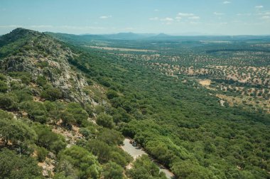 Kırsal kesimdeki ağaçların kaplandığı tepelerden geçen yol