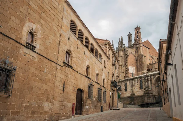 Rua com edifícios góticos e catedral em Plasencia — Fotografia de Stock