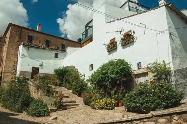 Fachada de casa con paredes blancas, escaleras, macetas y plantas en Cáceres — Foto de Stock