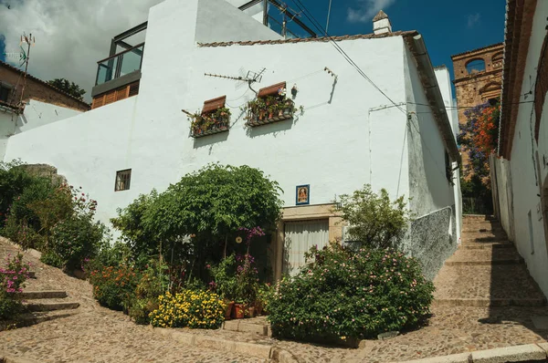 Fachada de casa con paredes blancas, escaleras, macetas y plantas en Cáceres — Foto de Stock