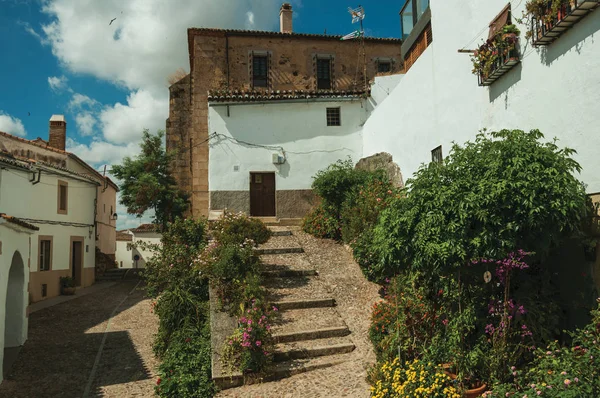 House facade with white walls, stairs, flower pots and plants at Caceres — Stock Photo, Image