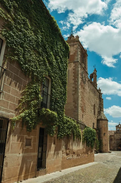 Eski taş binaların olduğu bir sokak, biri Caceres'te sürüngenlerle kaplı. — Stok fotoğraf