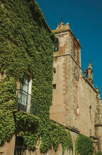 Κτίρια καλυμμένα με αναρριχητικά φυτά και καμπαναριό της εκκλησίας στο Caceres — Φωτογραφία Αρχείου