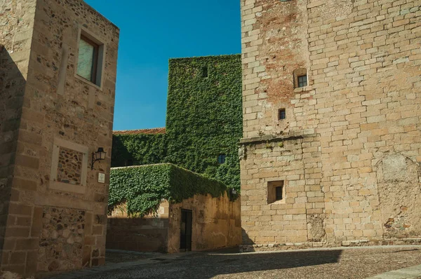 Allee mit alten Steingebäuden und Schlingpflanzen bei Caceres — Stockfoto