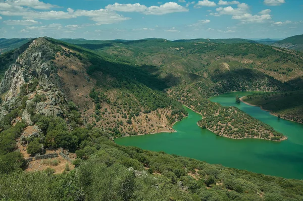 Tagus River running through a valley with hills covered by trees — Stock Photo, Image