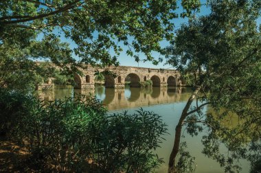 Merida yoğun bitki örtüsü arkasında Puente Romano
