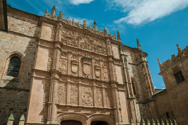 Ornamenty vytesané do kamene na fasádě Salamanca University — Stock fotografie