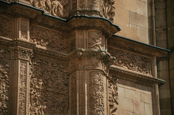 Ornamentos esculpidos em pedra na fachada da Universidade de Salamanca — Fotografia de Stock