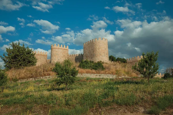 Avila duvarlarında taş kuleler önünde Undergrowth — Stok fotoğraf