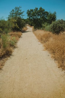 Madrid Teleferico Parkı'nda ağaçlar ve kuru çalılar arasında kir yolu