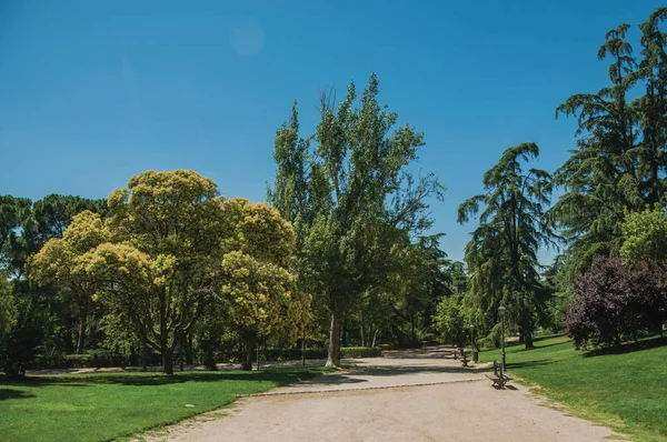 Sendero de tierra que pasa a través de los árboles en un jardín de Madrid — Foto de Stock