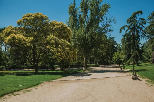 Sendero de tierra que pasa a través de los árboles en un jardín de Madrid — Foto de Stock