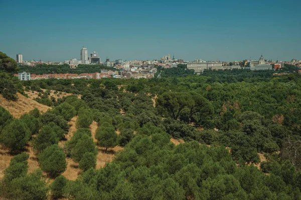 Edificio skyline con copas de árboles vistas desde el Parque Teleferico de —  Fotos de Stock