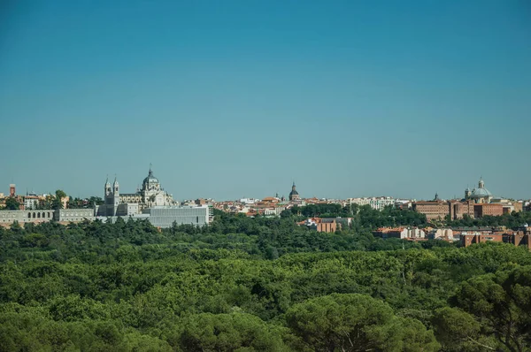 Royal Palace and Almudena Cathedral with trees in Madrid — Stock Photo, Image