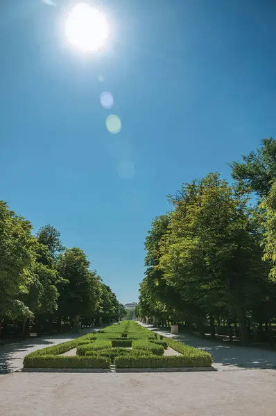 Madrid bir parkta yeşil bahçe üzerinde yol üzerinde Sunbeam — Stok fotoğraf