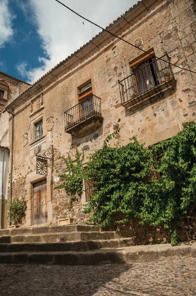 Antigua fachada del edificio con enredadera verde, en esquina del estrecho callejón de Cáceres — Foto de Stock