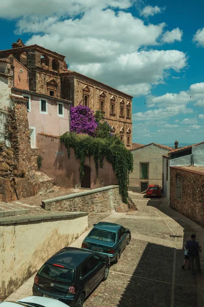 Старые здания и цветущие деревья над аллеей с автомобилями в Касересе . — стоковое фото