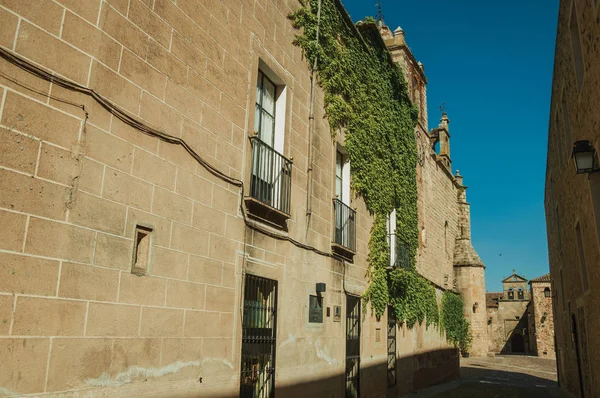 Steegje met oude stenen gebouwen en Creepers in Caceres — Stockfoto