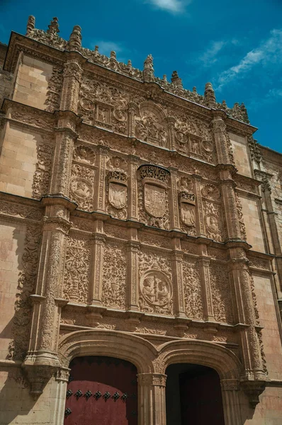 Ornaments carved in stone on the Salamanca University facade — Stock Photo, Image