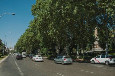 Madrid'de araba dolu büyük meşgul cadde üzerinde astarlı yapraklı ağaçlar