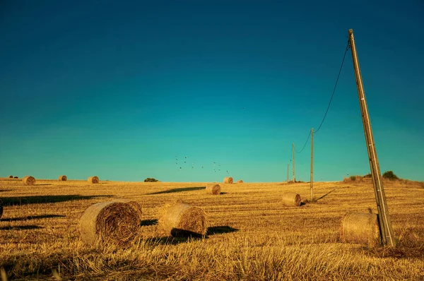 Heuballen bei Sonnenuntergang auf einem Bauernhof — Stockfoto