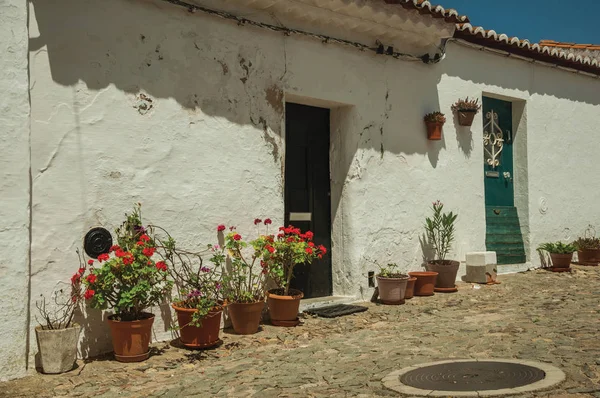 Casa humilde con macetas en Evoramonte — Foto de Stock