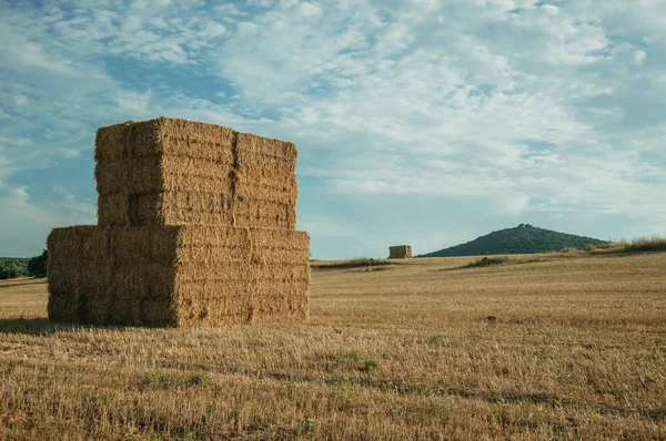 Heuballen stapelten sich auf Feld in Bauernhof — Stockfoto