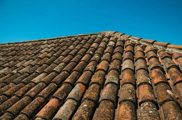 Roof covered by moss and lichens