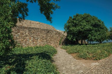 Yapraklı ağaçlarile bir çim bahçede yol ve duvar