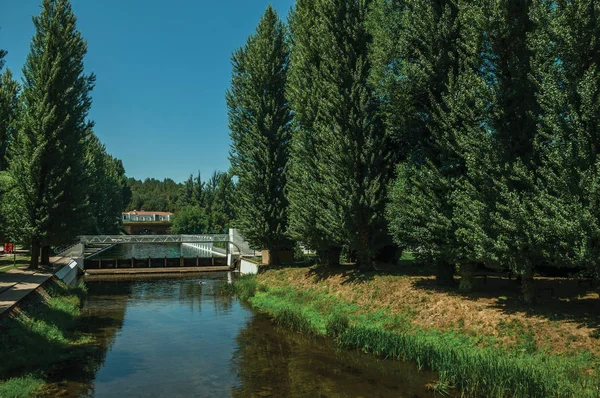 De rivier de sever onder bomen in Portagem — Stockfoto