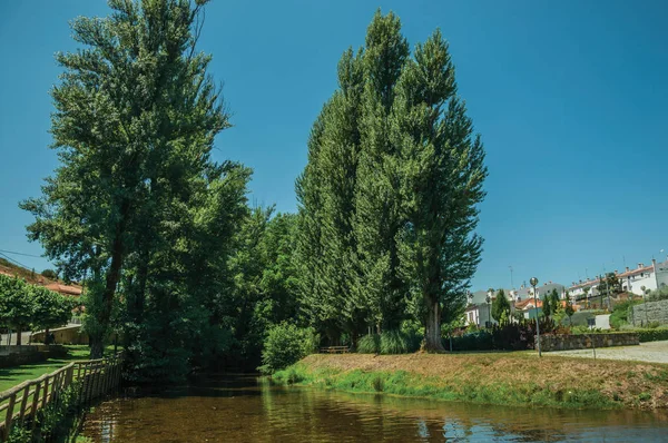 De rivier de sever onder bomen in Portagem — Stockfoto