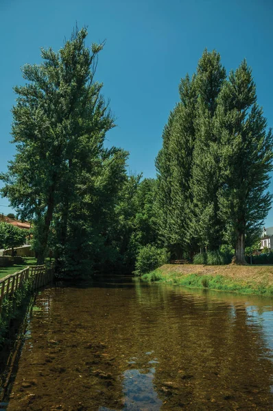 De rivier de sever onder bomen in Portagem — Stockfoto