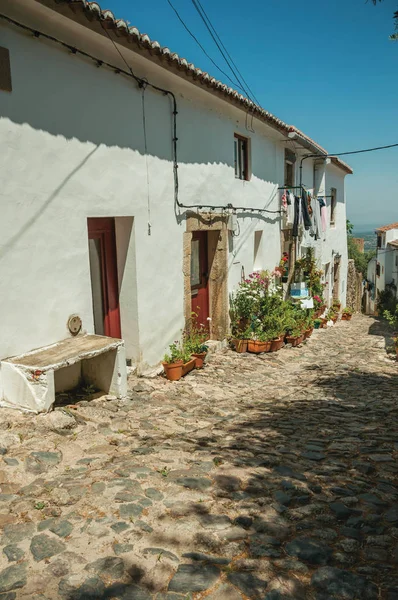 Casas encaladas y macetas con flores en un callejón empedrado — Foto de Stock