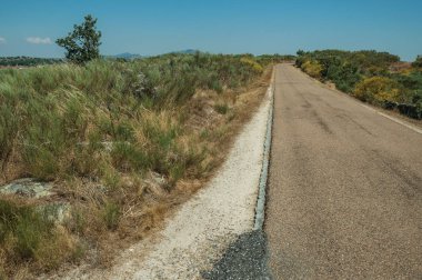 Yeşil çalılıkların vahşi manzarasından geçen yol