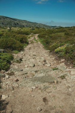 Yaylalarda kayalık araziden geçen patika