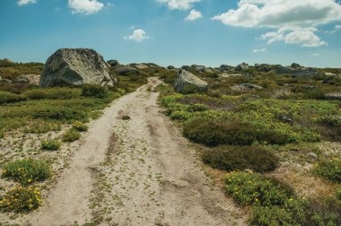 Yaylalarda kayalık araziden geçen patika