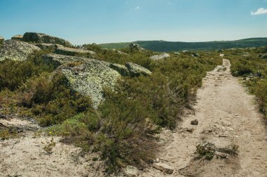 Yaylalarda kayalık araziden geçen patika