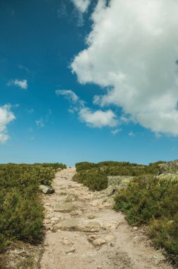 Yaylalarda kayalık araziden geçen patika