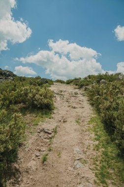 Yaylalarda kayalık araziden geçen patikalar