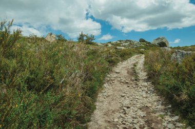 Yaylalarda kayalık araziden geçen patikalar